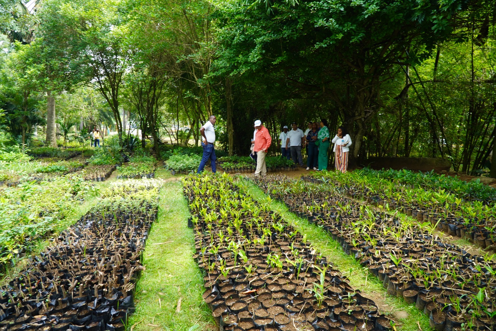 Realizarán Primer Festival de Plantas 2026